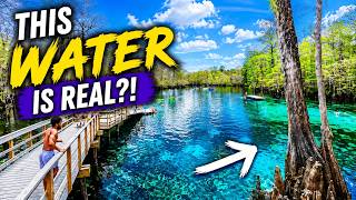 One of Florida's Most Beautiful Springs