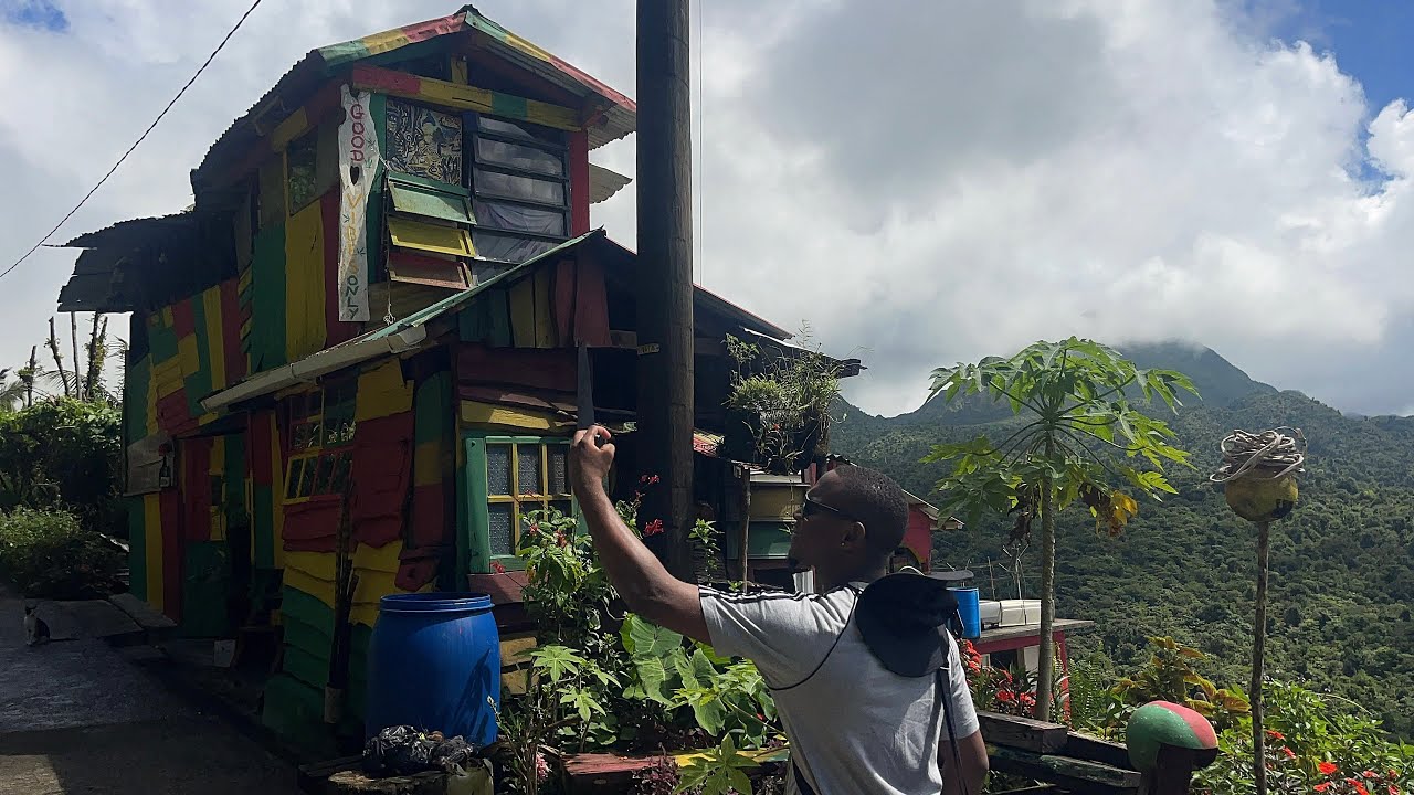 Экскурсия по природному острову Доминика 🇩🇲 (пресноводное озеро, Трафальгарский водопад, только х...