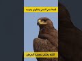 معلومة غريبة عن عمر النسر يصعب تصديقها حيوانات معلومات معلومات غريبة معلومة النسر 