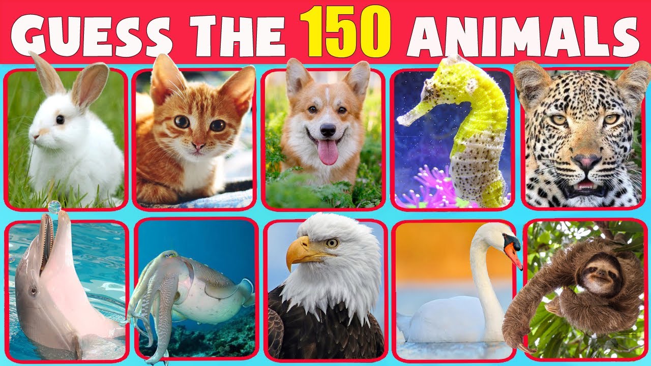 Guess 150 Animals in 3 Seconds 🦁🐼🐵/ Easy and Medium / Học Tên Các Con ...