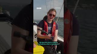 How Ai Is Being Used In Conservation Bbc Bitesize