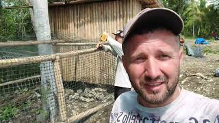 My Son Will Plant A Papaya Tree On A New Plot Of Landthe Chickens Moved To A New House