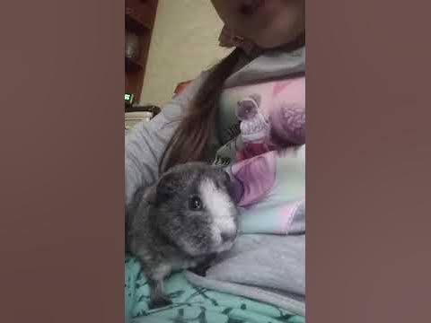 тэди - YouTube