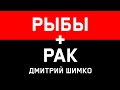 РАК+РЫБЫ - Совместимость - Астротиполог Дмитрий Шимко