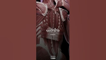يا أيها الإنسان ما غرك بربك الكريم، سورة الإنفطار بصوت القارئ عبدالباسط