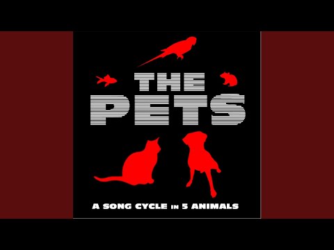 Смотреть «I Repeat What You Say (Sung by the Bird)» на YouTube