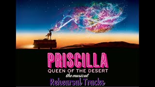 Video thumbnail of "Priscilla - 4 - I Say a Little Prayer for You"