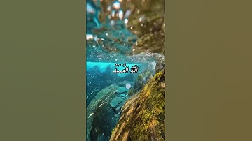 #القارئ سعد الغامدي #اكسبلور #دويتو #اذكرالله #تيك_توك #لايك #راحة_نفسية #حالات_واتس #duet #المصحف