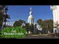 Сад Смольного собора (2025)