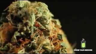 #13 What is CBD