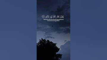 سورة الرحمن | القارئ عمر بن عبدالعزيز