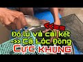 Cá lóc siêu to thế này chỉ có đổ lú ở Miền Tây | fishing and pig farm VietNam