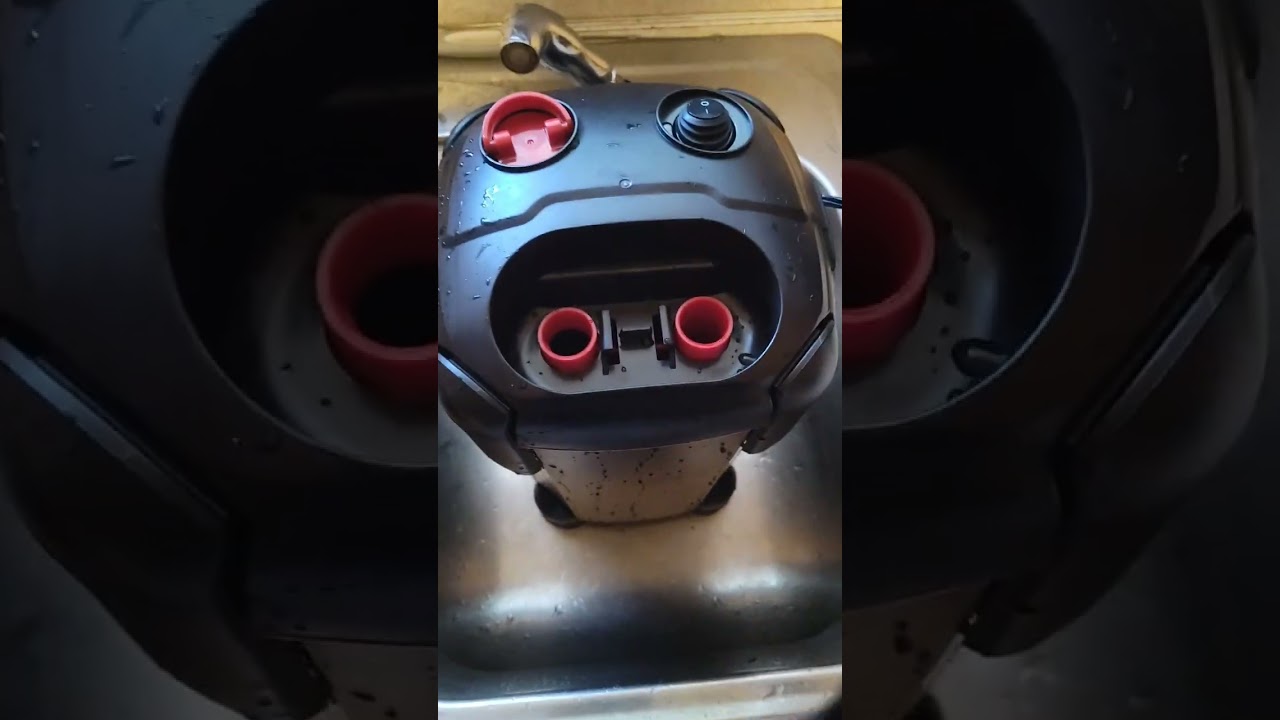 Quick clean of a canister filter after 2 months. 