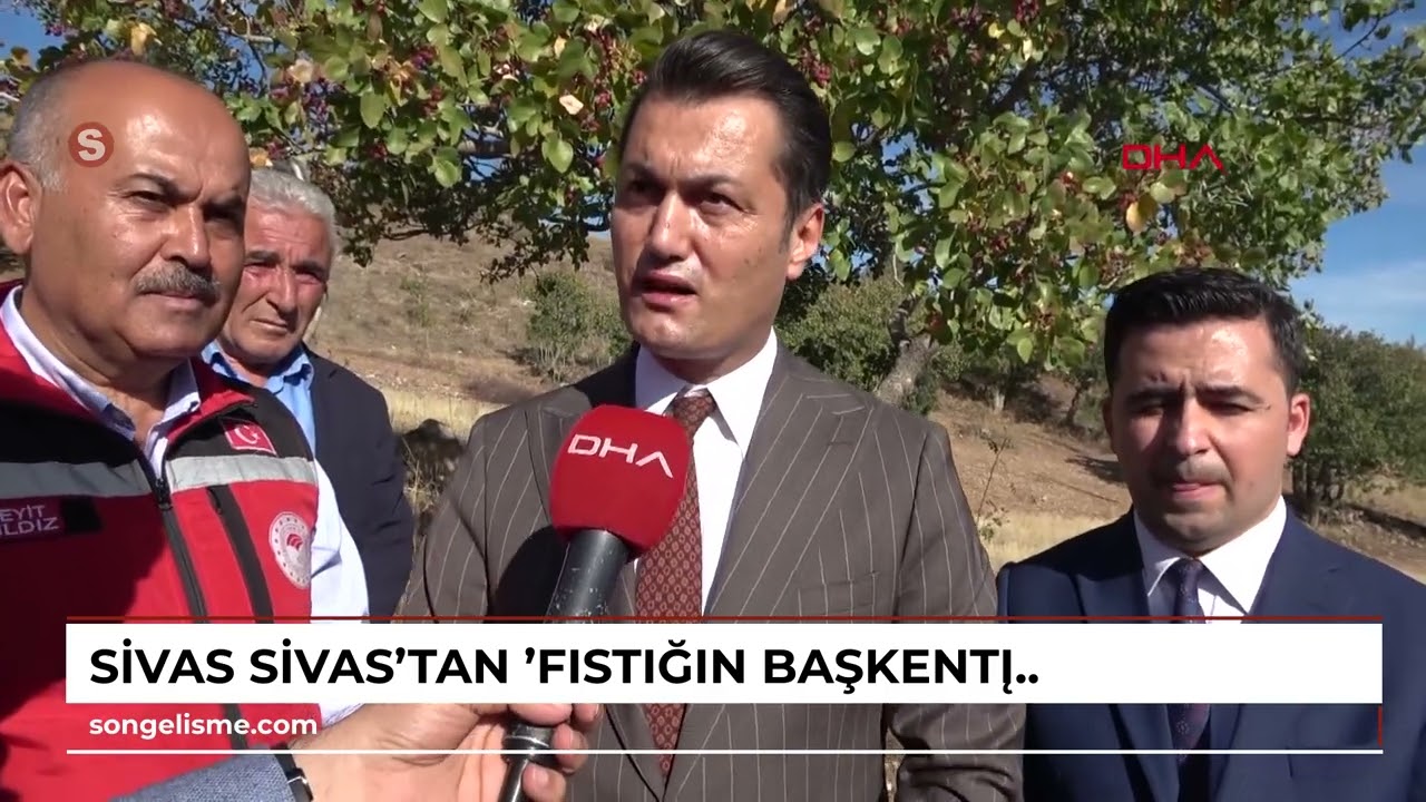 SİVAS Sivas'tan 'fıstığın başkenti' Gaziantep'e fıstık gönderiyorlar
