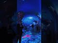 Discover what happens when imagination feels real