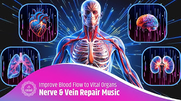 Nerve & Vein Repair Music | Heal Neuropathy & Improve Blood Flow to Vital Organs