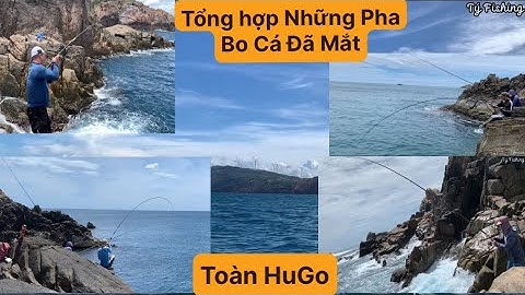 Câu Cá Biển Tự Nhiên, Câu Ghềnh. Tổng Hợp Những Pha Bo Cá Cực Đỉnh.TÝ FISHING ( Vietnamese fishing )