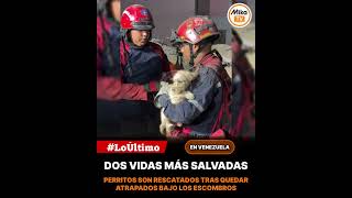 🙏🇻🇪 ¡Cada vida salvada es una victoria!