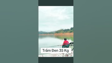 Trắm đen khủng được câu lên bờ ??? | Tien Sy Official | #fishing