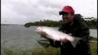 Huge Alaskan Rainbows - Seasons On The Fly