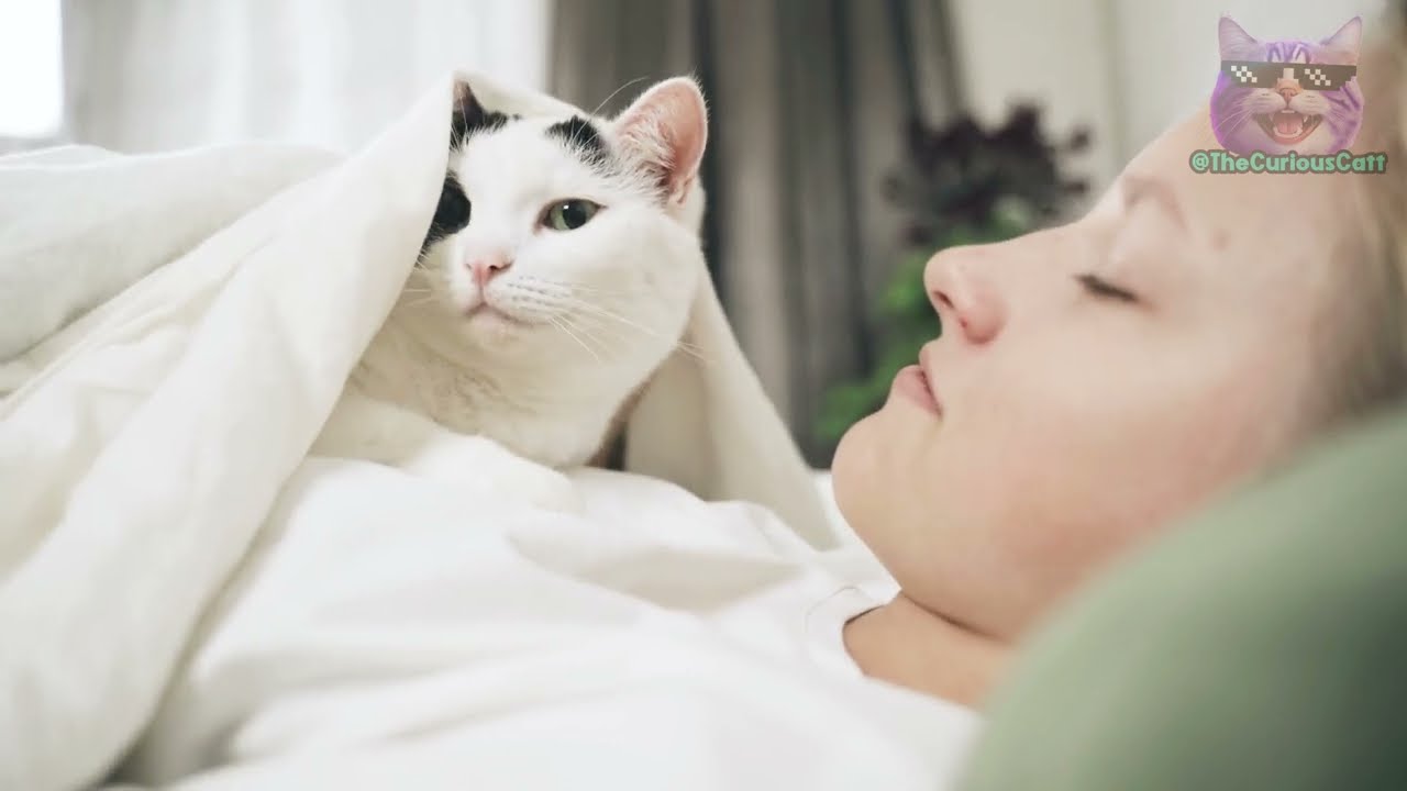 YouTube video image 1