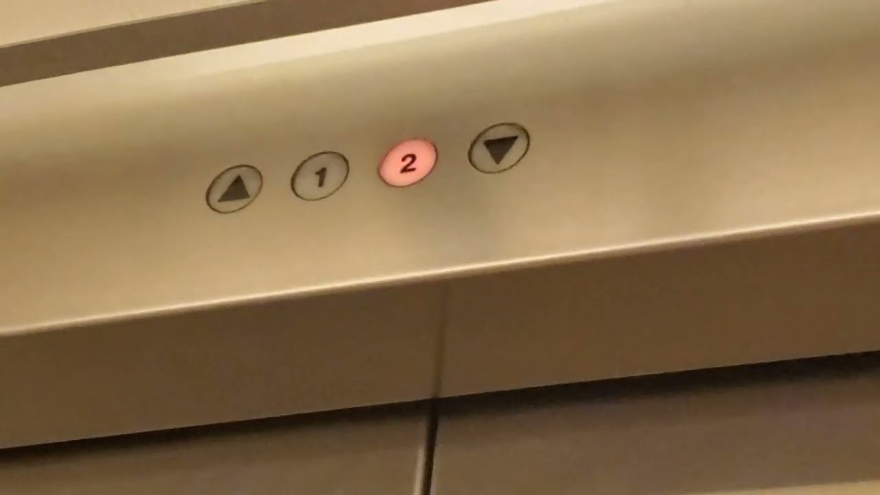 2022 Retake Schindler 300A at JCPenney (Westfield Brandon) Florida