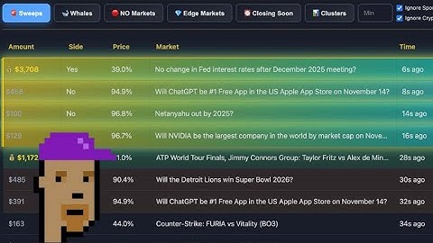 Polymarket Dashboard to See Whale