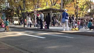 Autumn Afternoon At The Suginami Childrens Traffic Park