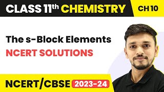 Class 11 Chemistry Chapter 10 | NCERT Solutions - The s-Block Elements | Class 11 CBSE/NCERT screenshot 5