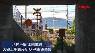 【JR神戸線 山陽電鉄】大谷上甲踏み切り 列車通過集