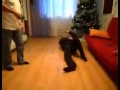 прикол испытание электрошокера часть 3
