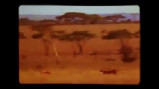 2016 Спор Мужа с Женой подробности в описании 👇 2016 Спор Мужа с Женой подробности в описании 👇