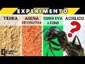 EXPERIMENTO con HORMIGAS ¿Qué Suelo Les Gusta Más? | Las Hormigas de Mike