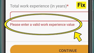 Please enter a valid work experience value problem fix