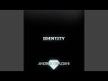 Identity Extended Mix