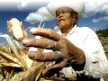 Juan Valentin - Mi Nombre es Mexico - La verdadera Cancion del Bicentenario Mexicano