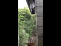 Bungee Jump from Killiecrankie Bridge