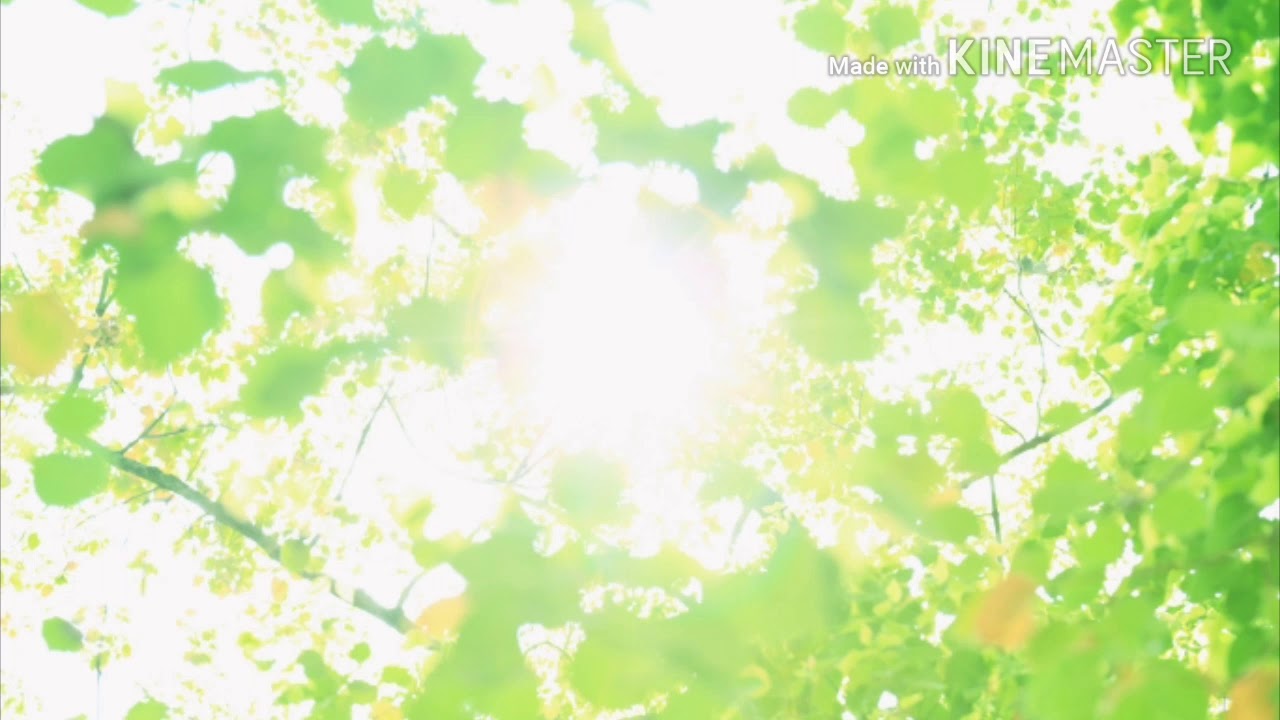 神々が恋した幻想郷　アレンジ