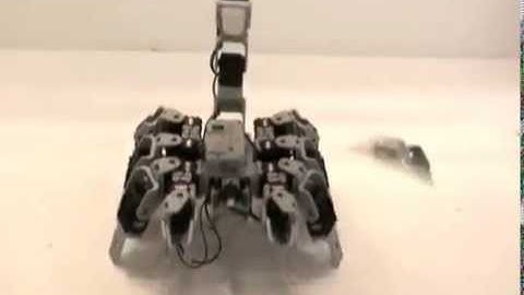 Bioloid Scorpion Robot