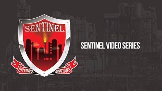 Sentinel - Data Migration