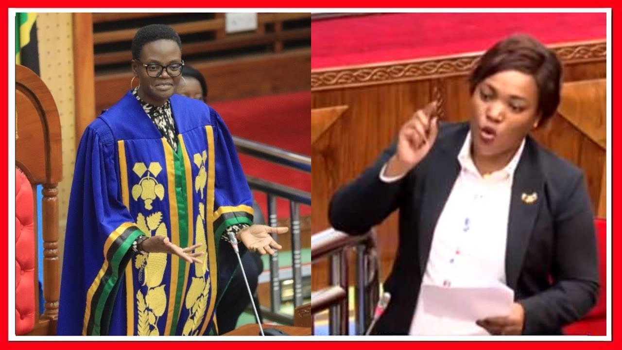 🔴#Live: MNYUKANO MKALI - SPIKA TULIA vs MBUNGE SALOME MAKAMBA wa CHADEMA, SHERIA ya MAJI Yazua UTATA
