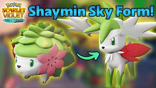 What item transforms Shaymin?