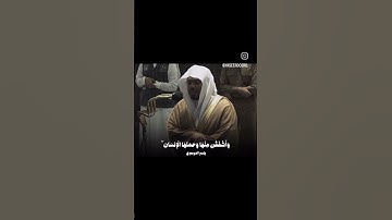 الشيخ ياسر الدوسري يبدع في سورة الاحزاب #اكسبلور #ياسر_الدوسري #القرآن_الكريم #سورة_الاحزاب #ترند