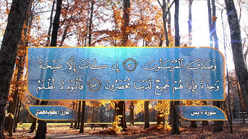 القارئ يعقوب محمدي  ، تلاوة مؤثرة يخشع لها القلب سورة يس
