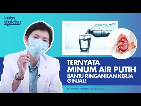 Video: Adakah meminum air adalah kata kerja?