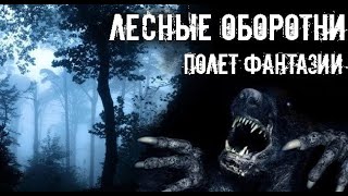 картинка: Простых людей в лесу не бывает. Страшные. Мистические. Творческие истории. Хоррор