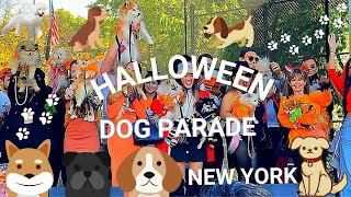 NYC Halloween Dog Parade at Tompkins Square Park Highlights | Cute Dogs in Creative Costumes