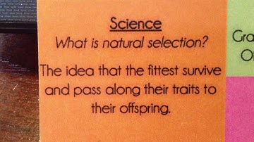 CC Cycle 3 Week 23 Science