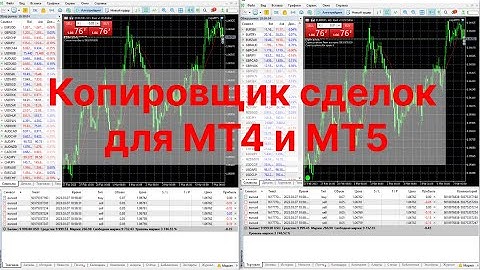 Установка и настройка копировщика сделок для МТ5/МТ4