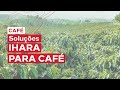 Soluções IHARA para Café - TV Alterosa!